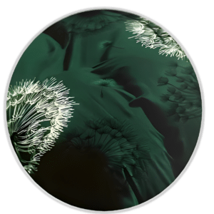 donkergroen dekbedovertrek met paardenbloem print 200x220 van Glow Thuis